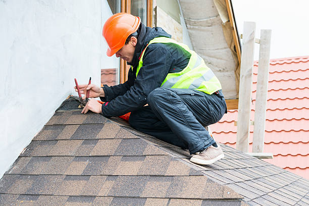 Roof Gutter Cleaning in Brookings, SD